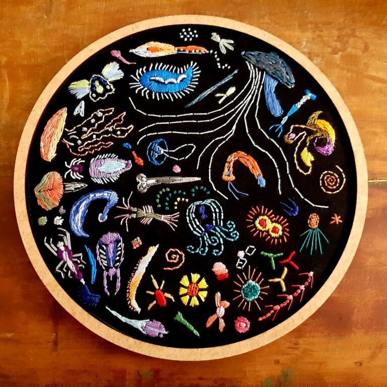 Criaturas Marinhas Invertebradas