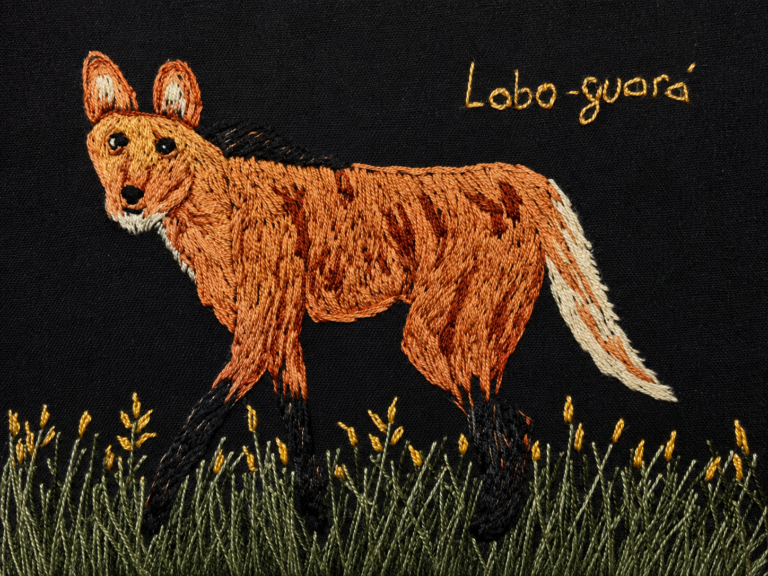lobo-guará