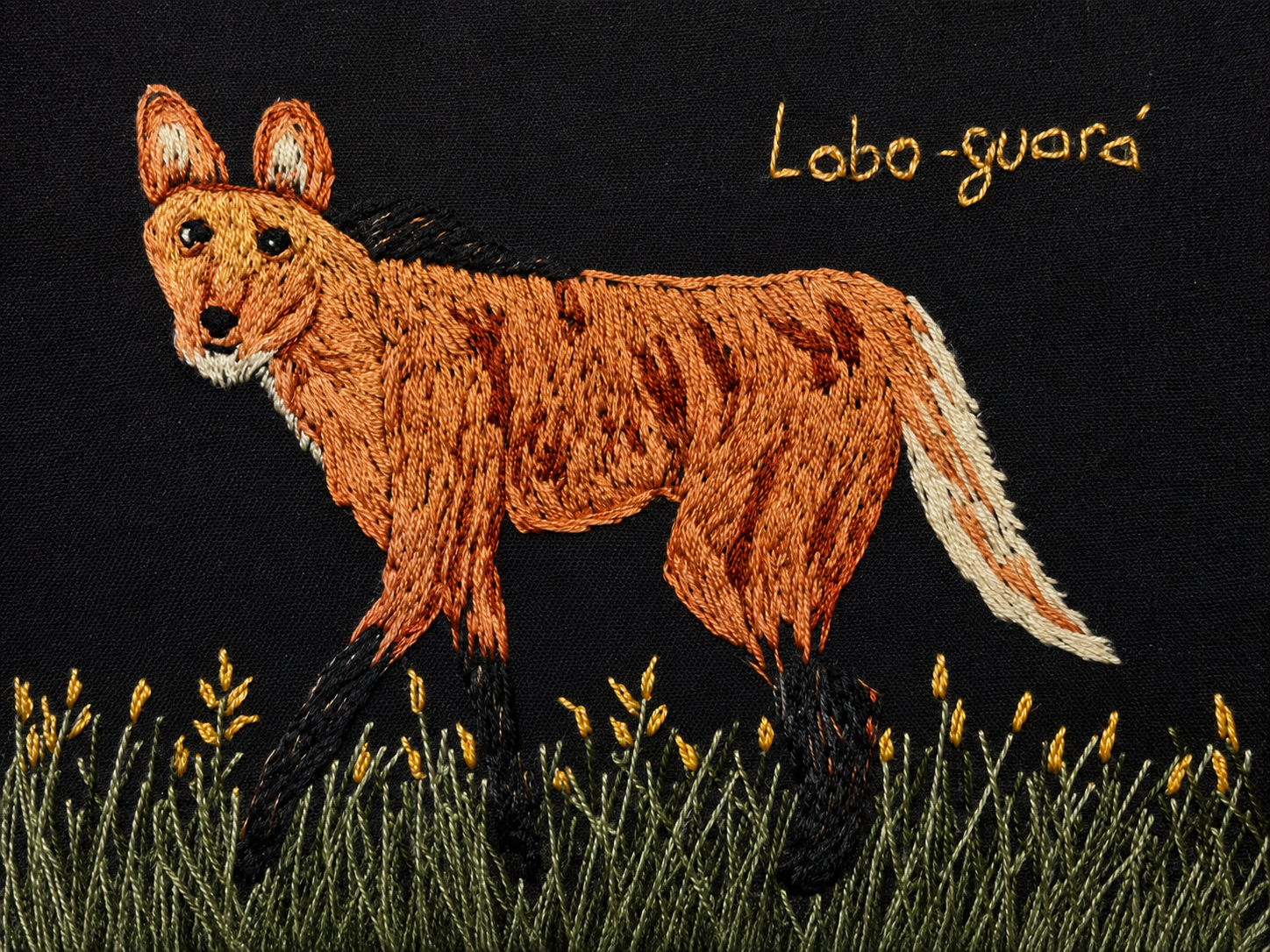 lobo-guará